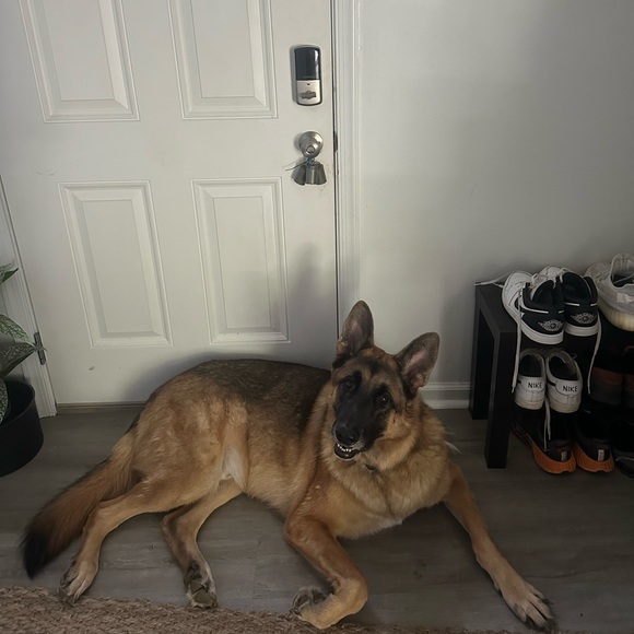 bella02260505